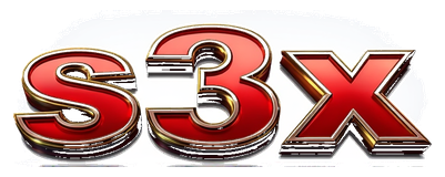 s3x logo
